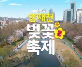 제8회 양재천 벚꽃등(燈)축제 하…